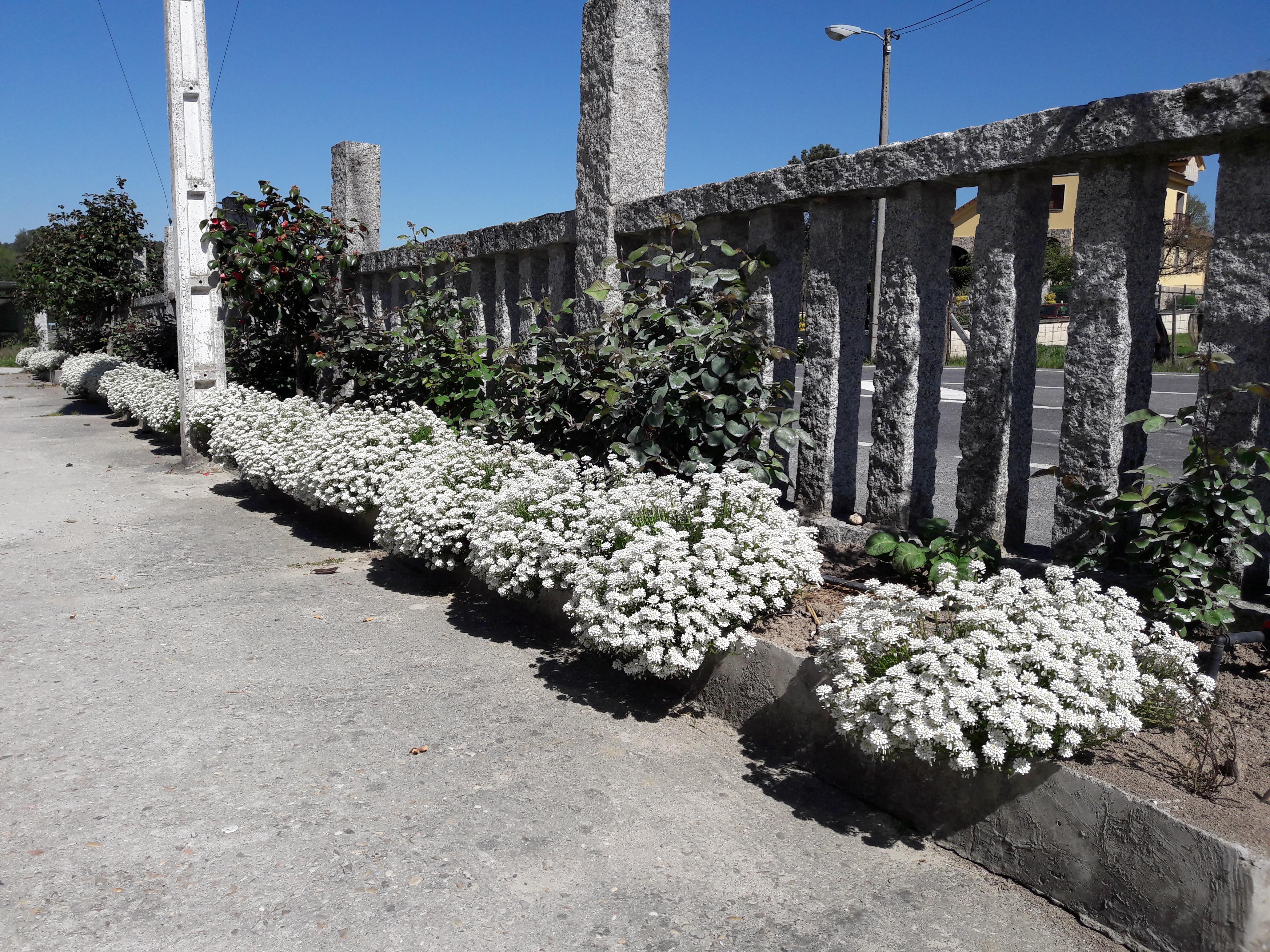 Hostal Sequeiros San Ciprián de Viñas エクステリア 写真